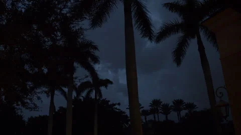 Lightning Through Trees Stock Footage 284784279