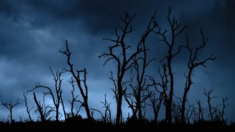 Lightning  Thunderstorm Flash over Dead Trees. Climate Disaster Concept Stock Footage 202034926