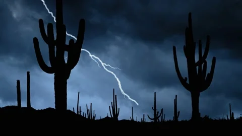 Lightning thunderstorm flash Over Giant Cactus in silhouette, Saguaro Park Stock Footage 157737281