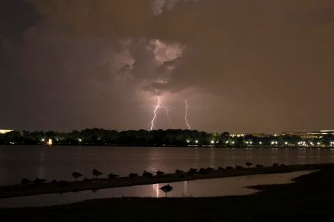 Lightning at the tidal basin in Washington DC at night Stock Photos
