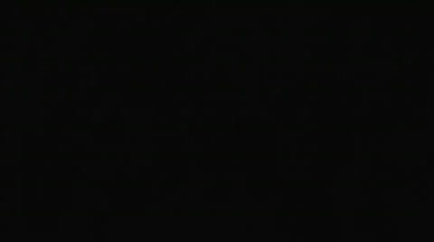 Lightning Tree Stock Footage 398205