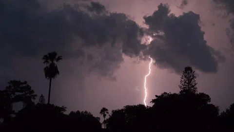 Lightning in Twilight Stock Footage 316423829