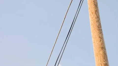 Lightpole Stockbeeldmateriaal 173700944