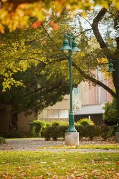 A Lightpost in View in Autumn Stock Photos
