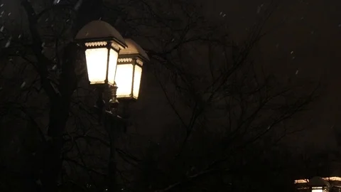 Lights in the Alexander garden Stock Footage 101662308