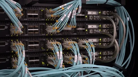 Lights and connections on network server. Stock Footage 113954072