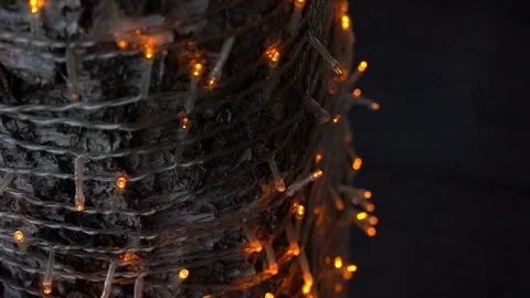 Lights and lanterns tree trunk Stock Footage 129671415