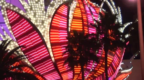Lights and Palm Trees in Las Vegas 스톡 동영상 50724026