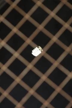 Lights and pattern Stock Photos