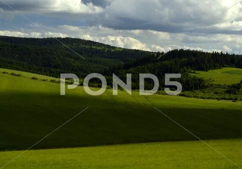 Lights and shadows on the meadow Stock Photos