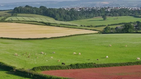 Lights and Shadows over Fields and Farms, Torquay, Devon, England, Europe Stockbeeldmateriaal 311715207
