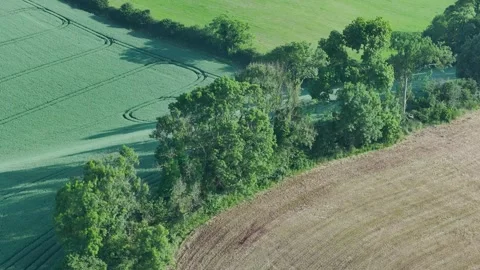 Lights and Shadows over Fields and Farms, Torquay, Devon, England, Europe Видео 311758123