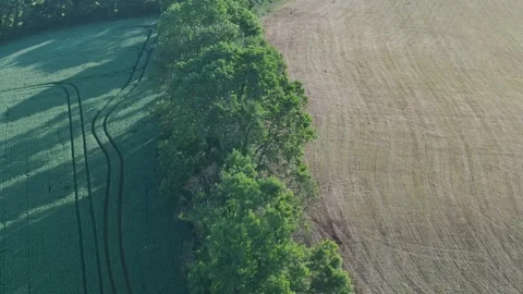 Lights and Shadows over Fields and Farms, Torquay, Devon, England, Europe Видео 311758145