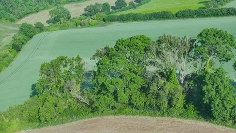 Lights and Shadows over Fields and Farms, Torquay, Devon, England, Europe Видео 311758151