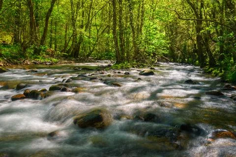 Lights and shadows on a river between boulders and a spring birch forest Stock Photos