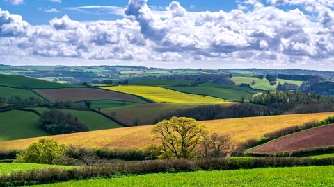 Lights and Shadows in TIMELAPSE over fields Stock Footage 182563980