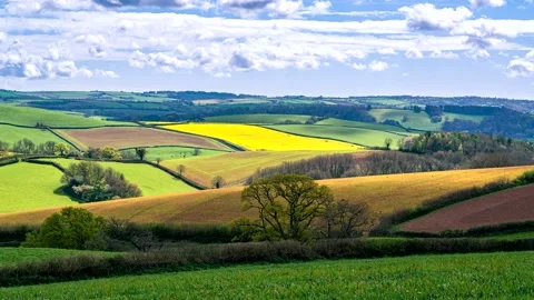 Lights and Shadows in TIMELAPSE over fields Vidéo 182566490