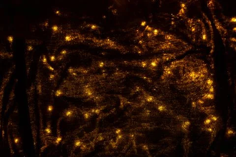 Lights background image Stock Photos