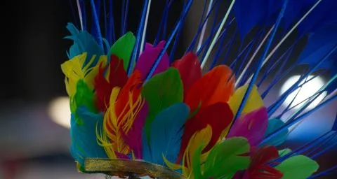 Lights background with multicolored feathers Stock Photos