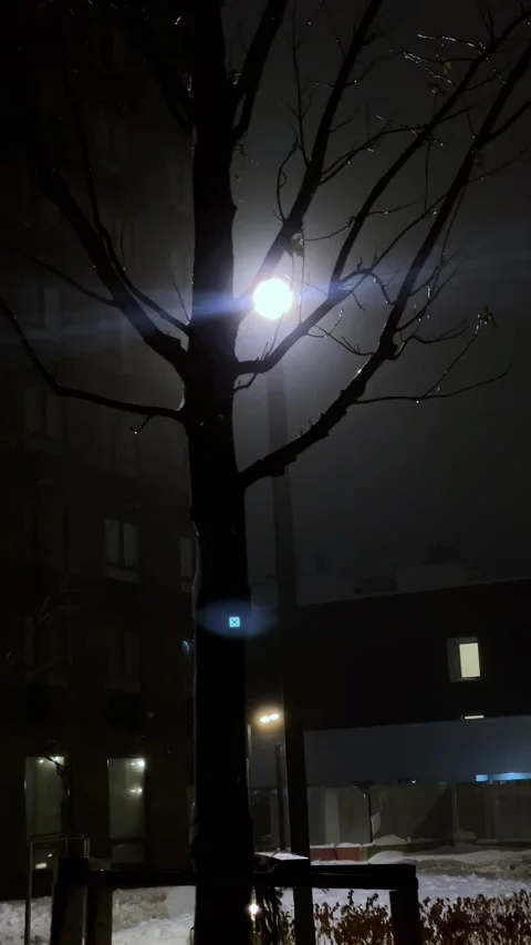 Lights behind three Stockbeeldmateriaal 225438652