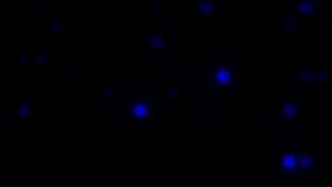 Lights Board Loop LED Background Animation Lights Flashing Wall Stock Footage 301903843