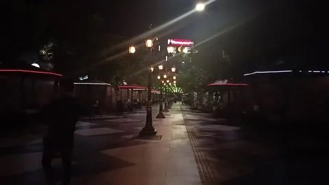 The Lights in The City (RAW) Stock Footage 224491329