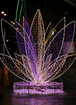 Lights in the dark flower Stock Photos