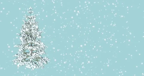 Lights decorated the Christmas tree with magic lights on a blue background Video stock 163163249