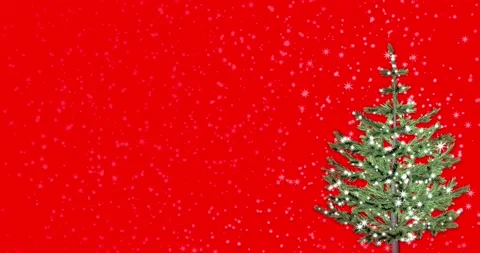 Lights decorated the Christmas tree with magic lights on a red background Video stock 163163312
