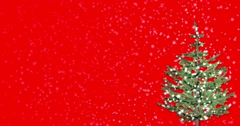 Lights decorated the Christmas tree with magic lights on a red background Video stock 163221922