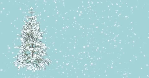 Lights decorated the Christmas tree with magic lights on a blue background Stock Footage 163221998