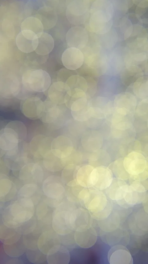 Lights defocused ,lights in soft bokeh. Christmas background , holidays Stock Footage 297633794