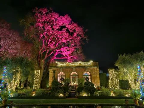 Lights with different colors projected on Trees at night in a historic garden Stock Photos