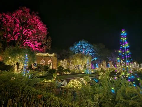 Lights with different colors projected on Trees at night in a historic garden Stock Photos
