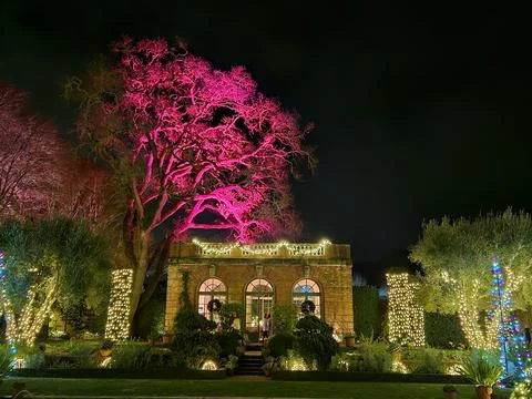 Lights with different colors projected on Trees at night in a historic garden Stock Photos