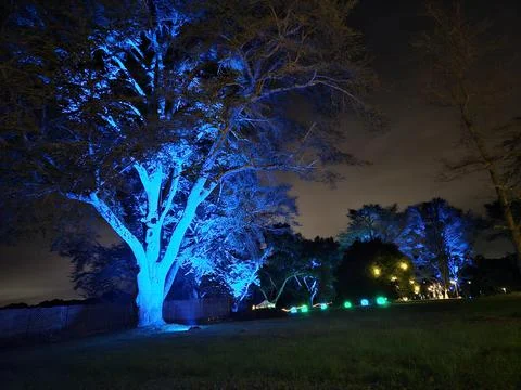 Lights with different colors projected on Trees at night in a historic garden Stock Photos