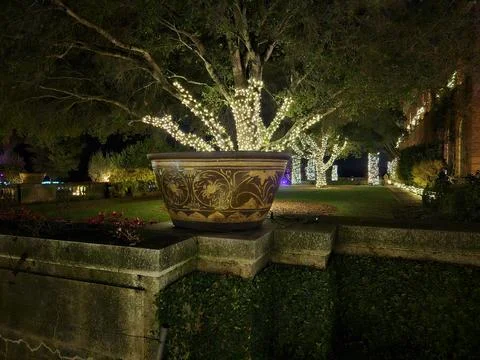 Lights with different colors projected on Trees at night in a historic garden Stock Photos