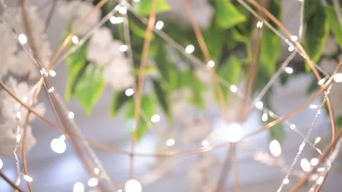 Lights diffusing to soft focus while zooming out. 動画素材 170583068