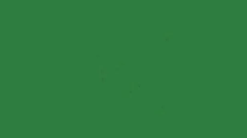 Lights Flying On Green Screen Chroma Key Background Stock Footage 338013698