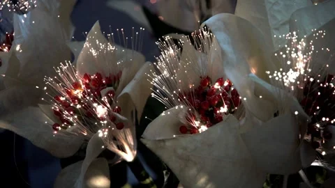 Lights Vídeo Stock 258683009