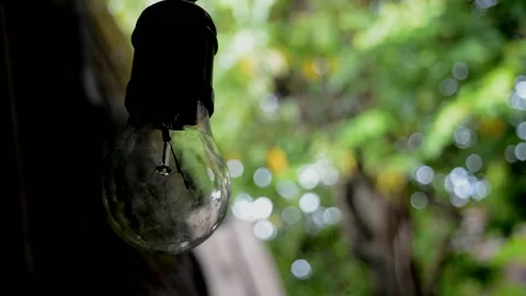 Lights in the garden Stock-Footage 230212472