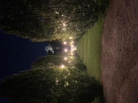 The lights in the garden Stock Photos