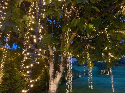 The lights in the garden Stock Photos