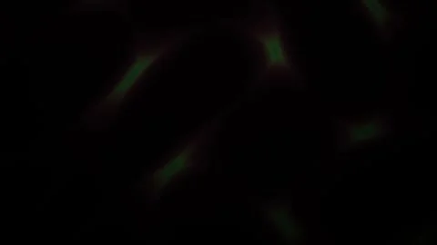 Lights Glowing Green Drifting Fast Across Dark Background in Abstract Motio.. Stock Footage 345369701