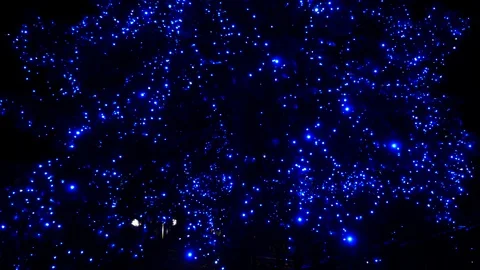 Lights of illumination Stock Footage 122513112