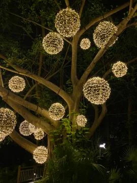 Lights in the Jungle Foto stock