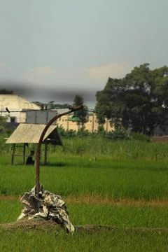 Lights in the middle of rice fields during the day Stock Photos