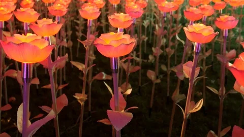 Lights of Multi-colored flowers Video stock 108840163