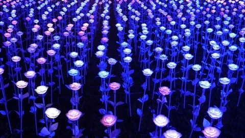 Lights of Multi-colored flowers Video stock 108846938