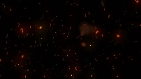 Lights in the night Vidéo 186597438